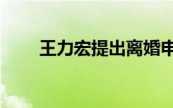 王力宏提出离婚申请（王力宏弟弟）