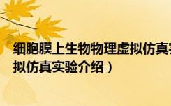 细胞膜上生物物理虚拟仿真实验（关于细胞膜上生物物理虚拟仿真实验介绍）