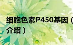 细胞色素P450基因（关于细胞色素P450基因介绍）