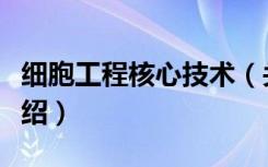 细胞工程核心技术（关于细胞工程核心技术介绍）