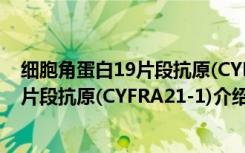 细胞角蛋白19片段抗原(CYFRA21-1)（关于细胞角蛋白19片段抗原(CYFRA21-1)介绍）