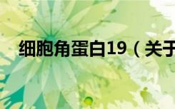 细胞角蛋白19（关于细胞角蛋白19介绍）