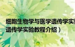 细胞生物学与医学遗传学实验教程（关于细胞生物学与医学遗传学实验教程介绍）