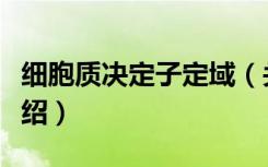 细胞质决定子定域（关于细胞质决定子定域介绍）