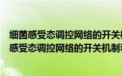 细菌感受态调控网络的开关机制和群体感应效应（关于细菌感受态调控网络的开关机制和群体感应效应介绍）