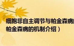 细胞非自主调节与帕金森病的机制（关于细胞非自主调节与帕金森病的机制介绍）