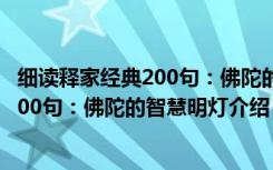 细读释家经典200句：佛陀的智慧明灯（关于细读释家经典200句：佛陀的智慧明灯介绍）