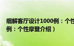 细解客厅设计1000例：个性摩登（关于细解客厅设计1000例：个性摩登介绍）