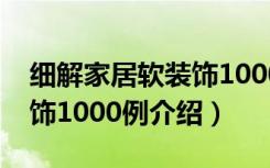 细解家居软装饰1000例（关于细解家居软装饰1000例介绍）