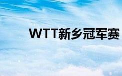 WTT新乡冠军赛：王曼昱止步八强