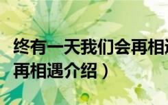 终有一天我们会再相遇（关于终有一天我们会再相遇介绍）