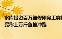 水库投资百万维修刚完工突然溃堤：74岁老人惊险逃生，村民称上万斤鱼被冲跑