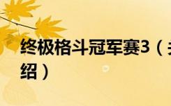 终极格斗冠军赛3（关于终极格斗冠军赛3介绍）