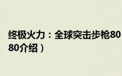 终极火力：全球突击步枪80（关于终极火力：全球突击步枪80介绍）