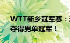 WTT新乡冠军赛：樊振东4-1战胜梁靖崑，夺得男单冠军！