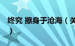 终究 擦身于沧海（关于终究 擦身于沧海介绍）