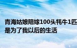 青海姑娘陪嫁100头牦牛1匹骏马，当事人：没要彩礼，父母是为了我以后的生活