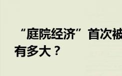 “庭院经济”首次被写入中央一号文件 潜力有多大？