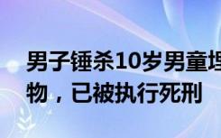 男子锤杀10岁男童埋尸后以绑架为名索要财物，已被执行死刑