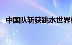 中国队斩获跳水世界杯西安站全部9项冠军