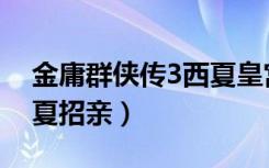 金庸群侠传3西夏皇宫攻略（金庸群侠传3西夏招亲）