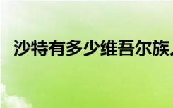 沙特有多少维吾尔族人（沙特有多少王子）