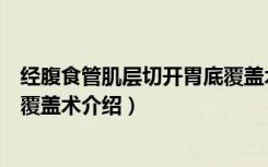 经腹食管肌层切开胃底覆盖术（关于经腹食管肌层切开胃底覆盖术介绍）