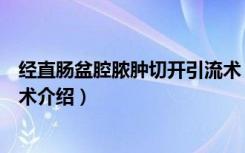 经直肠盆腔脓肿切开引流术（关于经直肠盆腔脓肿切开引流术介绍）