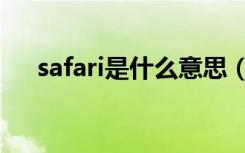 safari是什么意思（safari是什么意思）