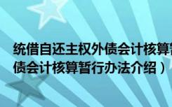 统借自还主权外债会计核算暂行办法（关于统借自还主权外债会计核算暂行办法介绍）