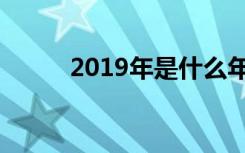 2019年是什么年（2019停工令）