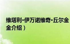 维塔利·伊万诺维奇·丘尔金（关于维塔利·伊万诺维奇·丘尔金介绍）