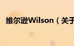 维尔逊Wilson（关于维尔逊Wilson介绍）