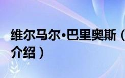 维尔马尔·巴里奥斯（关于维尔马尔·巴里奥斯介绍）