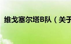 维戈塞尔塔B队（关于维戈塞尔塔B队介绍）