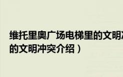 维托里奥广场电梯里的文明冲突（关于维托里奥广场电梯里的文明冲突介绍）