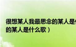 很想某人我最思念的某人是什么歌舞蹈（很想某人我最思念的某人是什么歌）