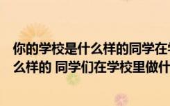 你的学校是什么样的同学在学校里做些什么（你的学校是什么样的 同学们在学校里做什么）