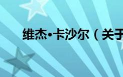 维杰·卡沙尔（关于维杰·卡沙尔介绍）