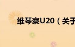 维琴察U20（关于维琴察U20介绍）