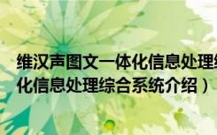 维汉声图文一体化信息处理综合系统（关于维汉声图文一体化信息处理综合系统介绍）