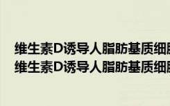 维生素D诱导人脂肪基质细胞向成骨细胞分化的研究（关于维生素D诱导人脂肪基质细胞向成骨细胞分化的研究介绍）