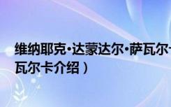 维纳耶克·达蒙达尔·萨瓦尔卡（关于维纳耶克·达蒙达尔·萨瓦尔卡介绍）