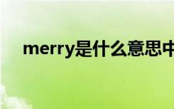 merry是什么意思中文（merry的意思）