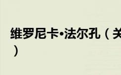 维罗尼卡·法尔孔（关于维罗尼卡·法尔孔介绍）