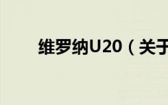 维罗纳U20（关于维罗纳U20介绍）