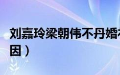 刘嘉玲梁朝伟不丹婚礼（刘嘉玲梁朝伟不孕原因）