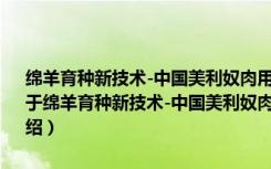 绵羊育种新技术-中国美利奴肉用、超细毛、多胎肉用新品系的培育（关于绵羊育种新技术-中国美利奴肉用、超细毛、多胎肉用新品系的培育介绍）