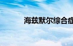 海兹默尔综合症是什么（海兹）