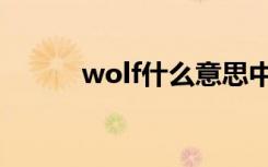 wolf什么意思中文（wolf解释）